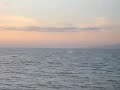 More Whale Watching