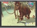 Star Fox Adventures Part 7: Back To The Hollow