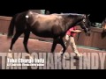 Take Charge Indy & Paynter - 2012 Kentucky Derby prospects