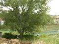 videos de DIKEA EVROS-NORTH GREECE