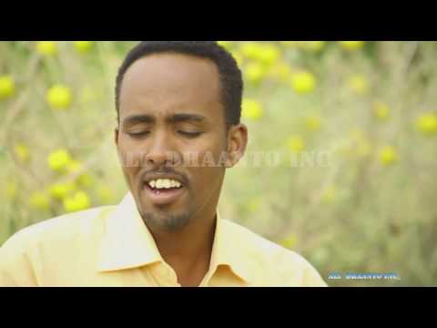 ALI DHAANTO GENYO OFFICIAL VIDEO- GENYO - BY ALI DHAANTO ( CALI BASHIR)