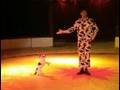 MY-Shows: Dogact