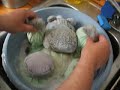 hippo-bath.html