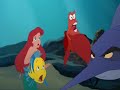 El Origen de la Sirenita - Ariel conoce a Flaunder - Parte 2 de 7