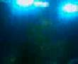 Mono und Nikitaman - Faschos Live