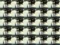 videos de Trivisual: water 1