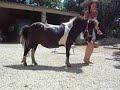 Ponette