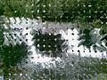 friburgo beleza eterna(tedio biquini cavadão)