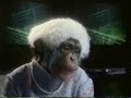 Monkey-Ed Movie: Titanic Monkey-Ed Movie: Titanic