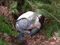 Pajama Talk - Scott Thistle - Alligator Boy