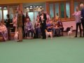 Parson Russell Terrier Crufts 2010 - Open Dog Part 2