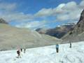 Peyto Glacier