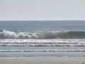 Tofino