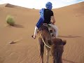 Camel Riding Camel Riding
