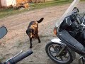 Yamaha fz1 and Harley fxrs Pt1 Yamaha fz1 and Harley fxrs Pt1