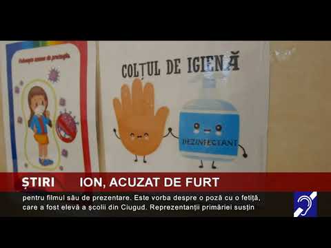 Ion, acuzat de furt