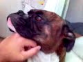 otto