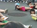 Fukuoka Festival