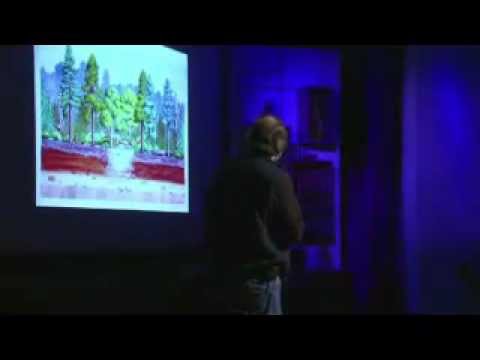 how to isolate mycorrhiza