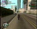 Stunt By PitBull Stunt By PitBull