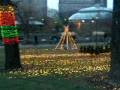 Lincoln park zoo lights