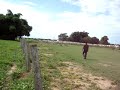 juninho peão bom de braço