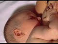 Importância da Respiração Nasal Importância da Respiração Nasal
