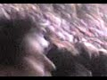 U-Cienciano Golazo Candelo Min 71 Apertura 2008