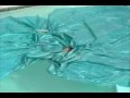 pool cover diving board and trampoline