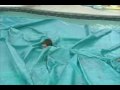 pool cover diving board and trampoline