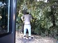 estas palido y vomitado