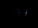 \"We\ \"We\