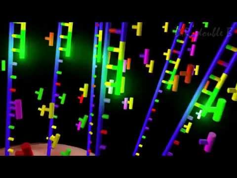 the technology behind the lilbubome sequencing lilbubome