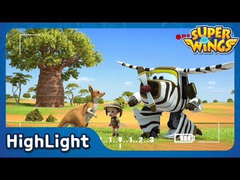 Aussie Animals