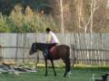 Me and My Horse
