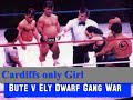 very rare footage from the bbc documentary on cardiff soul seekers/dole crew/dwarf army. may have been tampered with by a swansea fan