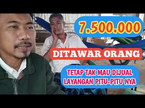 Ditawar 7,5 juta Layangan Pitu-pitu Bugis nya pak Saleh Tak Mau Dijjual