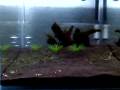 videos de V3112080003