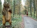 Braunb�r und Reiterin