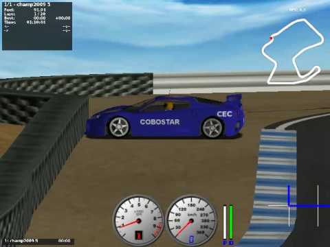 Simulated Racing - Highlights from the Simulated Car Racing Competition at CEC-2009 for the driver COBOSTAR.