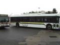 Detroit buses at Northland Mall