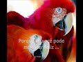 Eu & Voc� ...