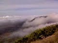 Nandi Hills Psychedelia