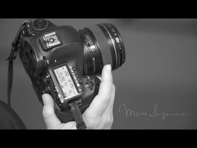 Ensaios: Gestante e Newborn