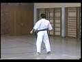 fudokan kaminari