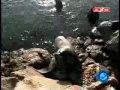 Click here to watch this video Surf Chile - Surf Travel
