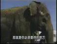 馬戲真相 Behind the big top