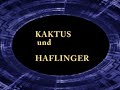 KAKTUS und HAFLINGER