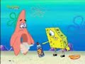 spongi spongi