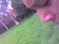 serfO dandOle en el parke